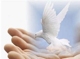 INTRODUCTION IN PEACE STUDIES